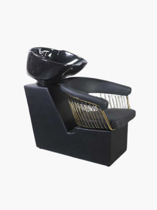 Professional hair wash unit, cosmoporto